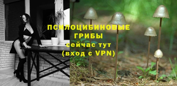 твердый Покачи