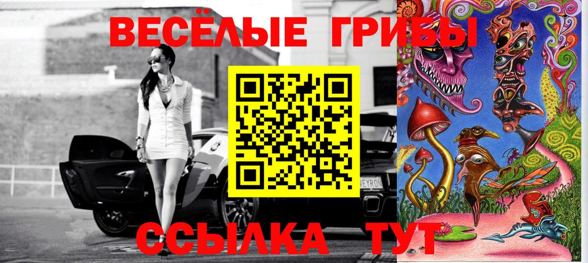 Псилоцибиновые грибы GOLDEN TEACHER Сердобск