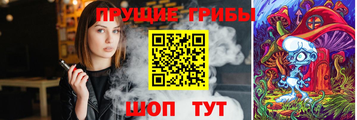 Псилоцибиновые грибы мицелий Сердобск