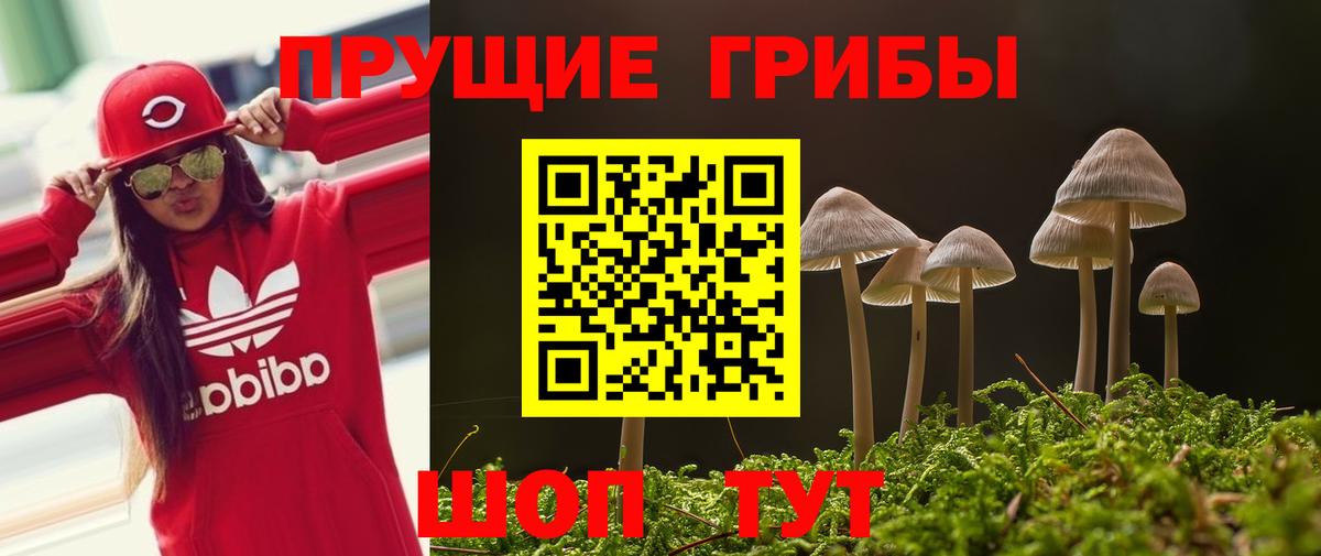 Галлюциногенные грибы Magic Shrooms  Галлюциногенные грибы мухоморы  Вход с VPN  как найти закладки  Сердобск 