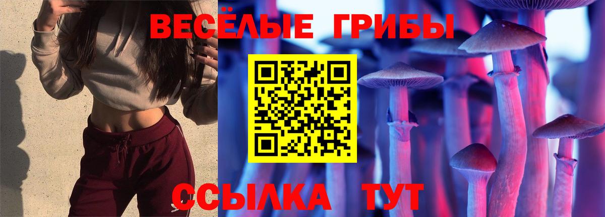Как найти закладки?  Меф   COCAIN  Вход с VPN  ГАШ  Сердобск  МАРИХУАНА 